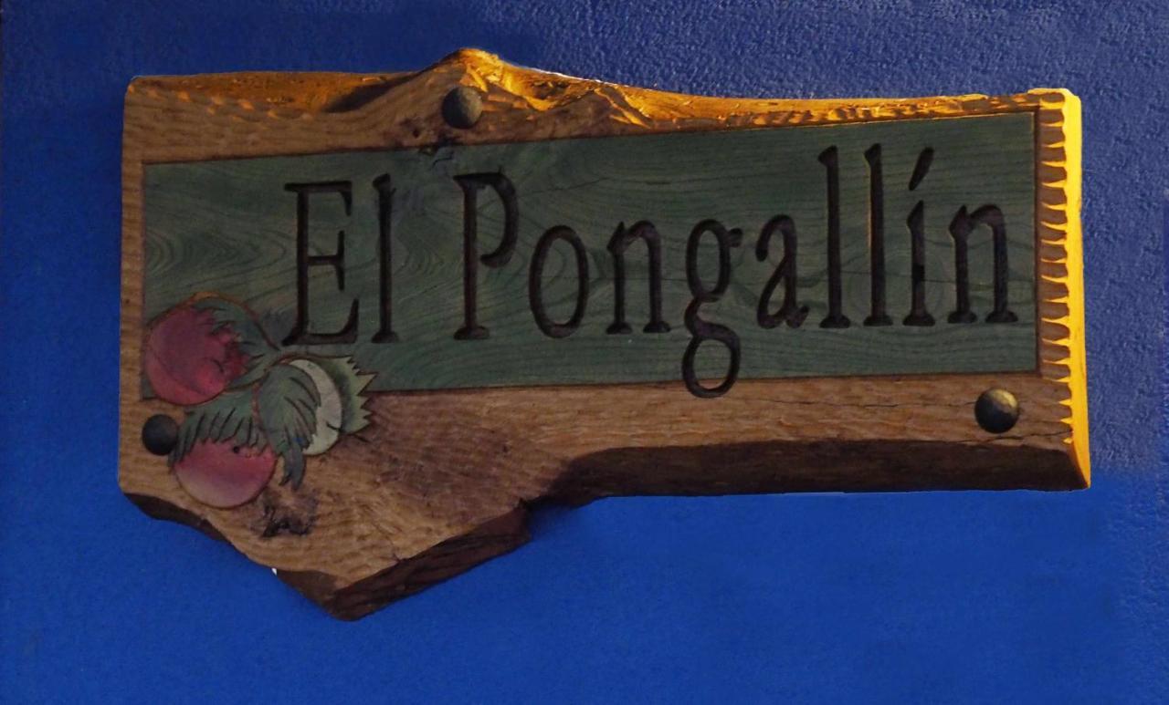 El Pongallin Ideal Para Familias V Vacacional 268 Sevares Exteriör bild